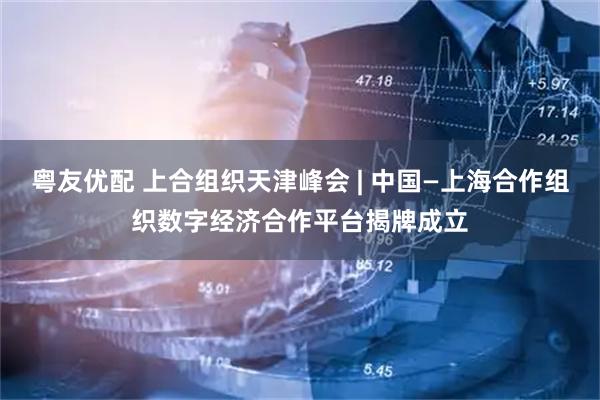 粤友优配 上合组织天津峰会 | 中国—上海合作组织数字经济合作平台揭牌成立