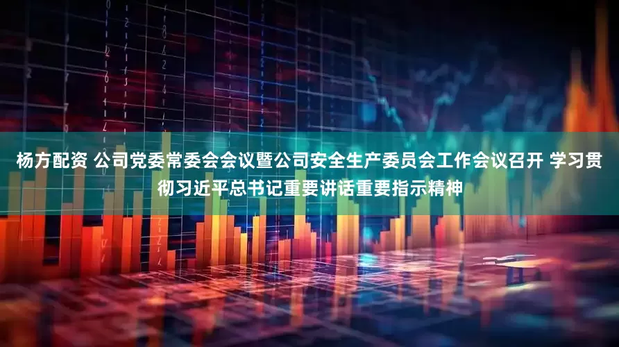 杨方配资 公司党委常委会会议暨公司安全生产委员会工作会议召开 学习贯彻习近平总书记重要讲话重要指示精神